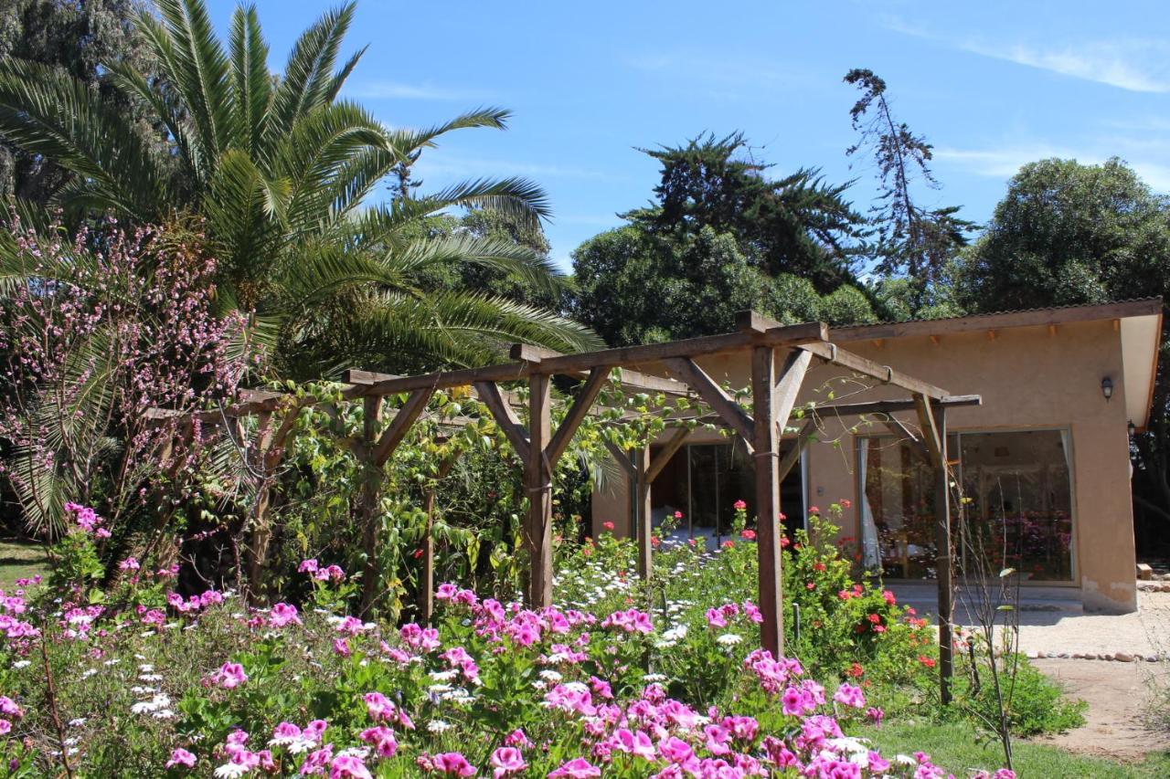 El Arbol Eco Lodge La Serena Exterior foto