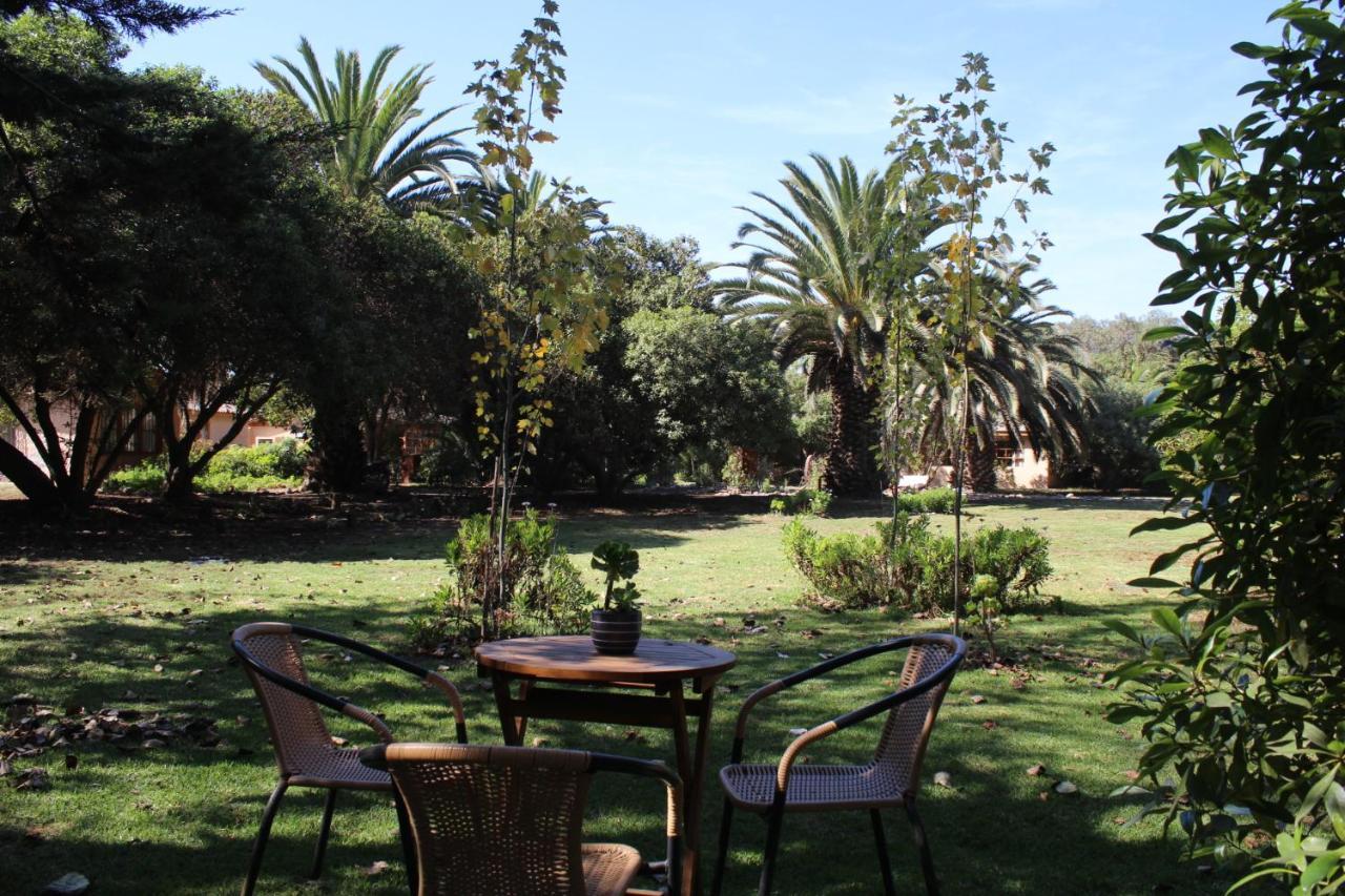 El Arbol Eco Lodge La Serena Exterior foto
