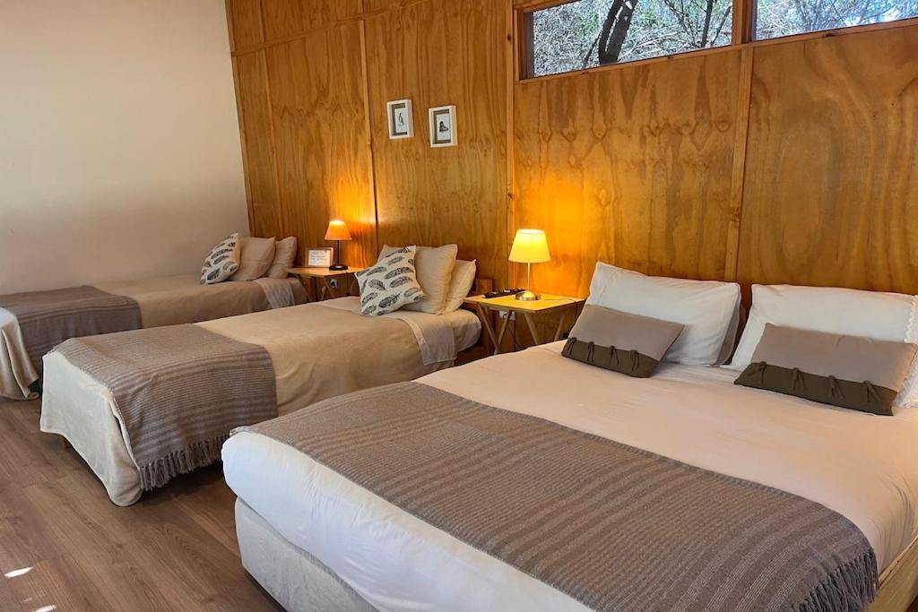 El Arbol Eco Lodge La Serena Exterior foto